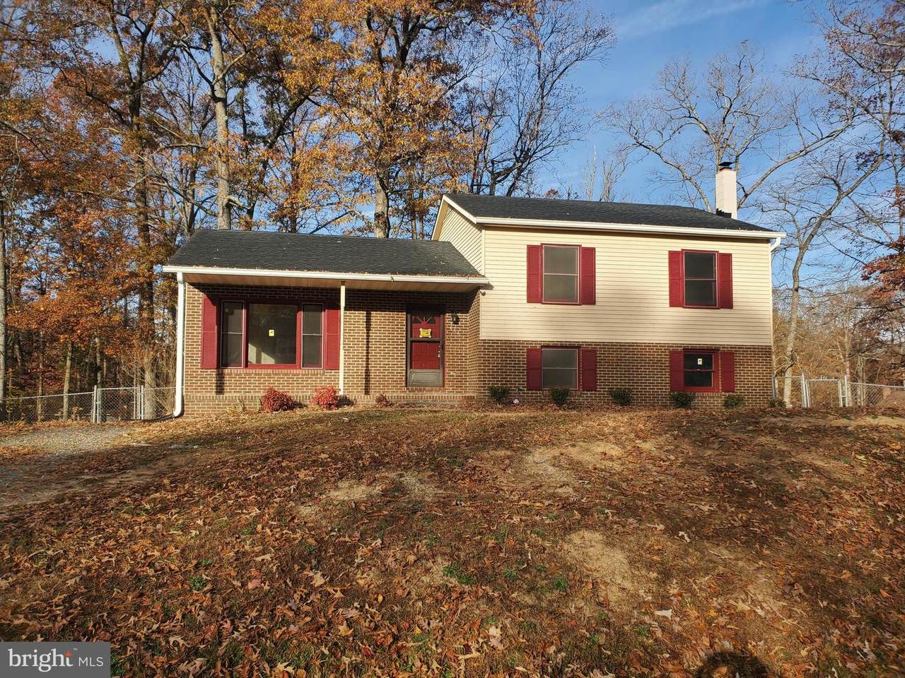 434 Albany Street - Photo 1