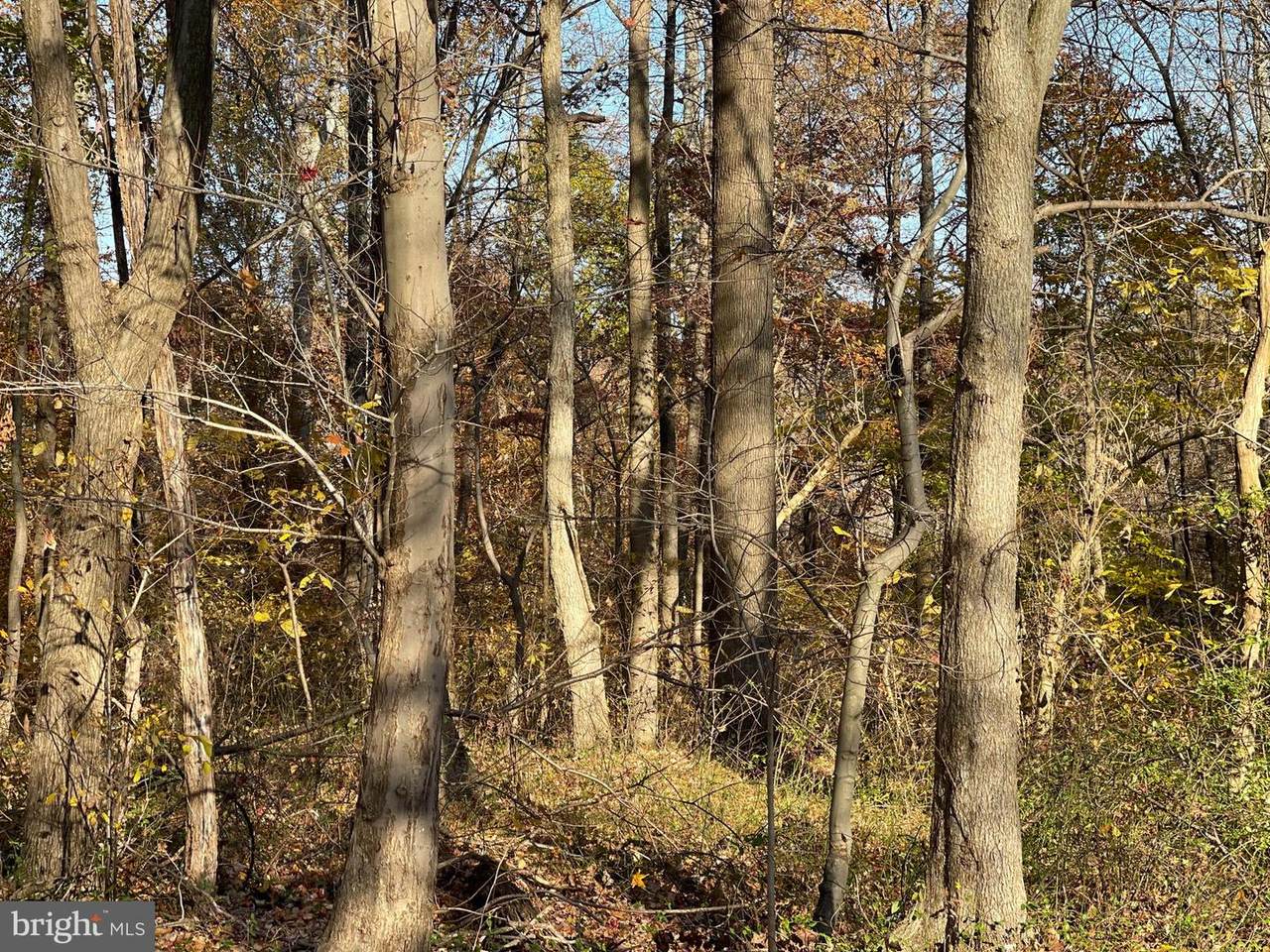 4755 Polling House Road - Photo 1