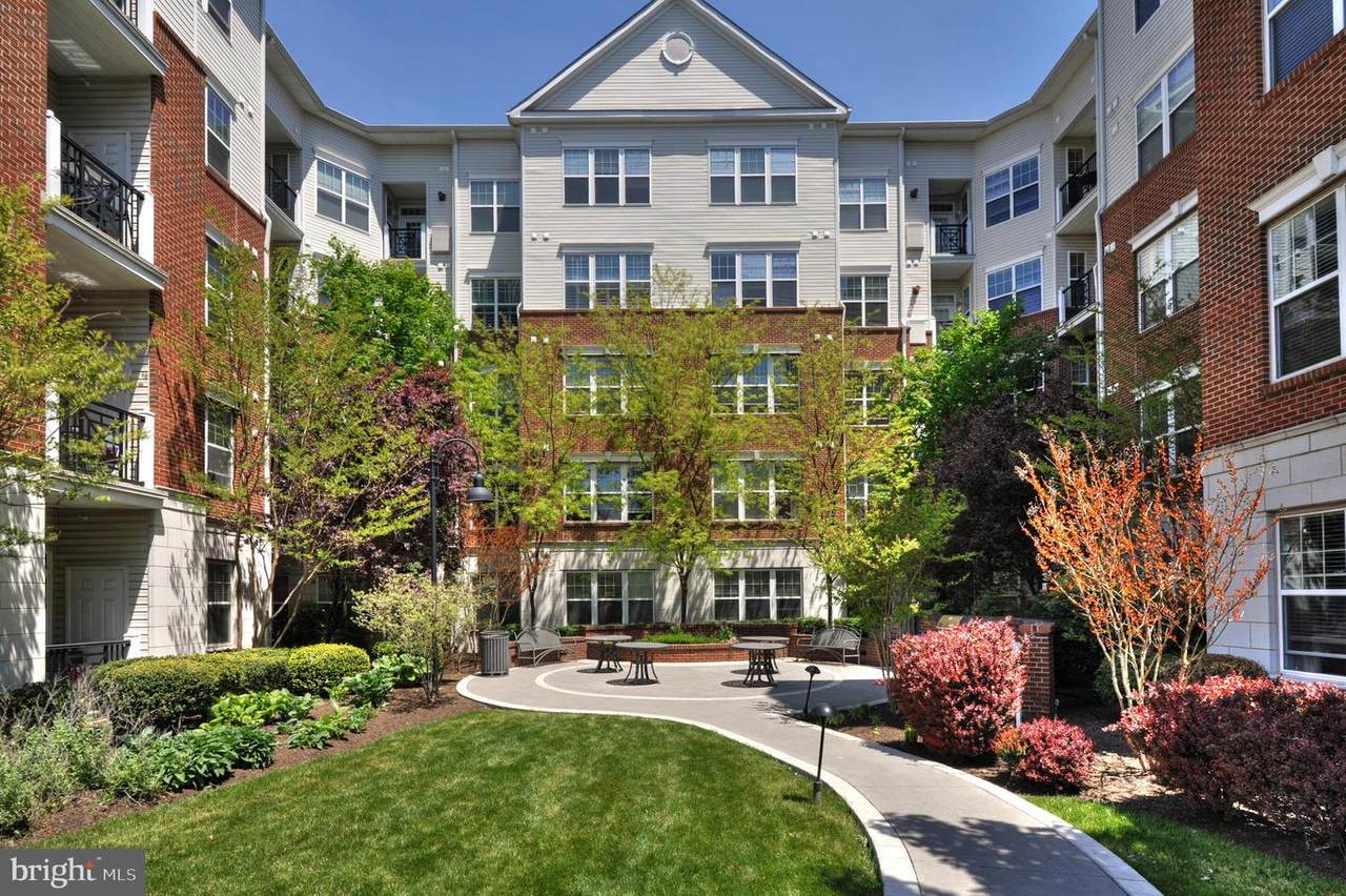 350 Elm Street - Photo 1