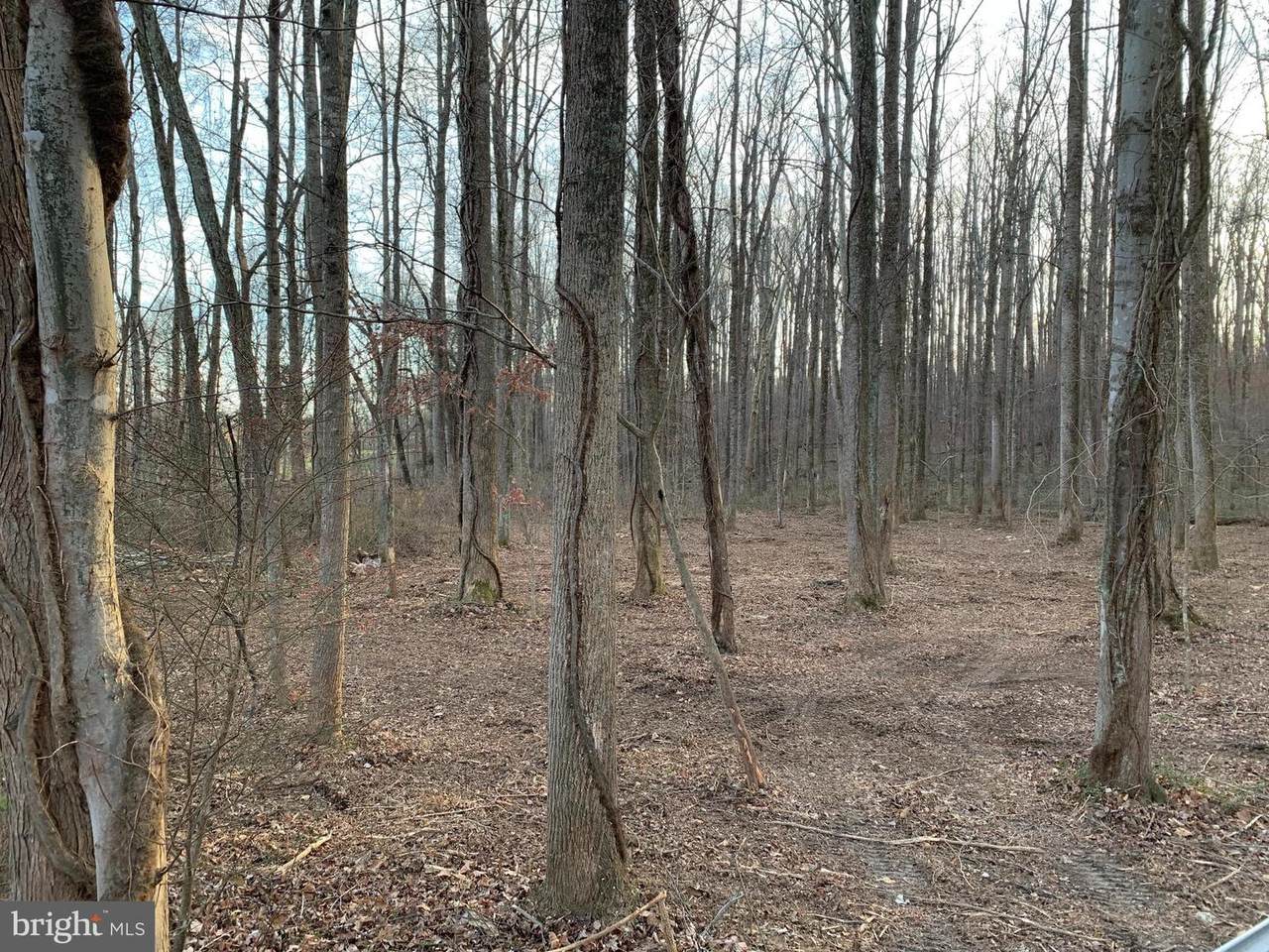 Hoover Road - Photo 1