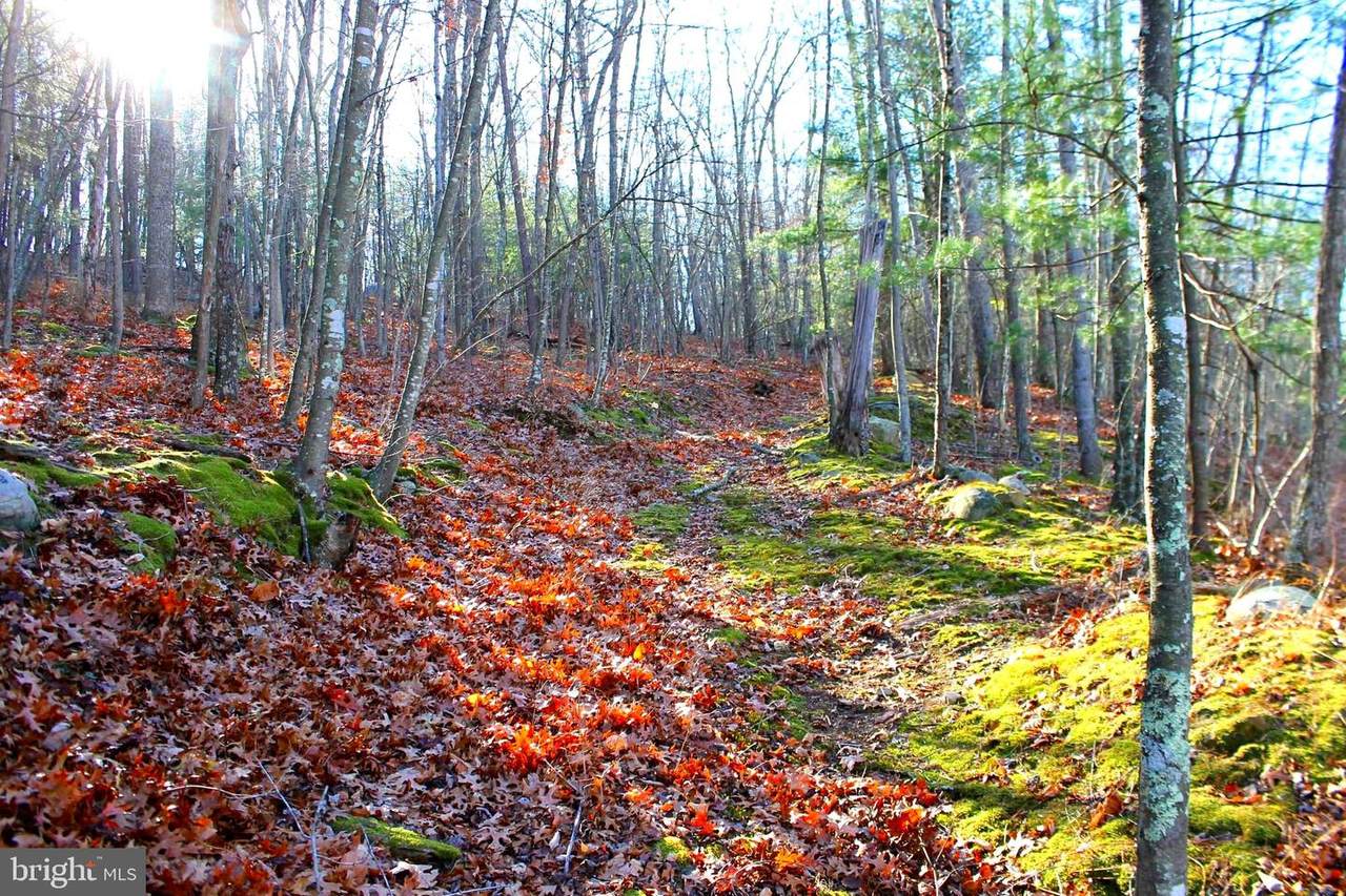 LOT 15 Cold Stream Rd - Photo 1