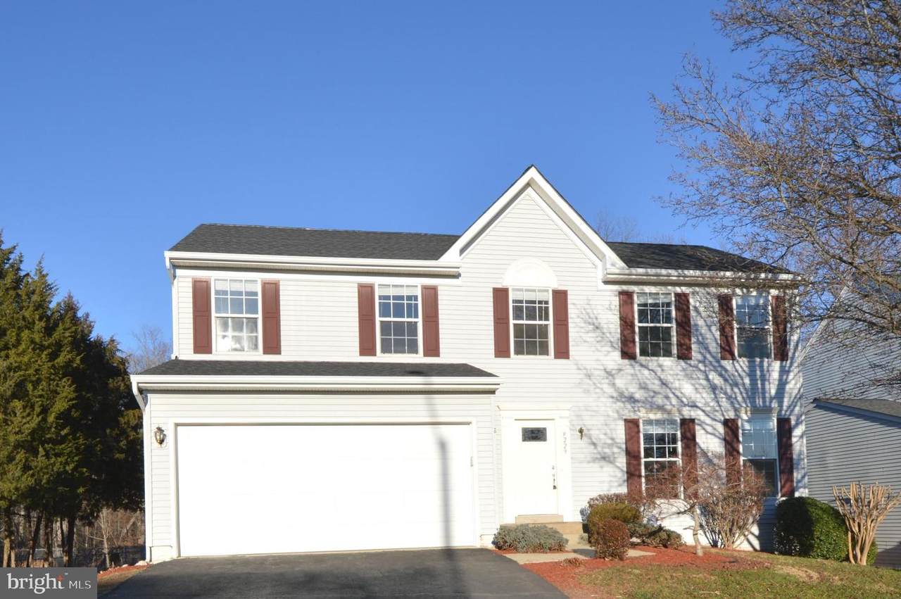 9229 Cynthia Street - Photo 1