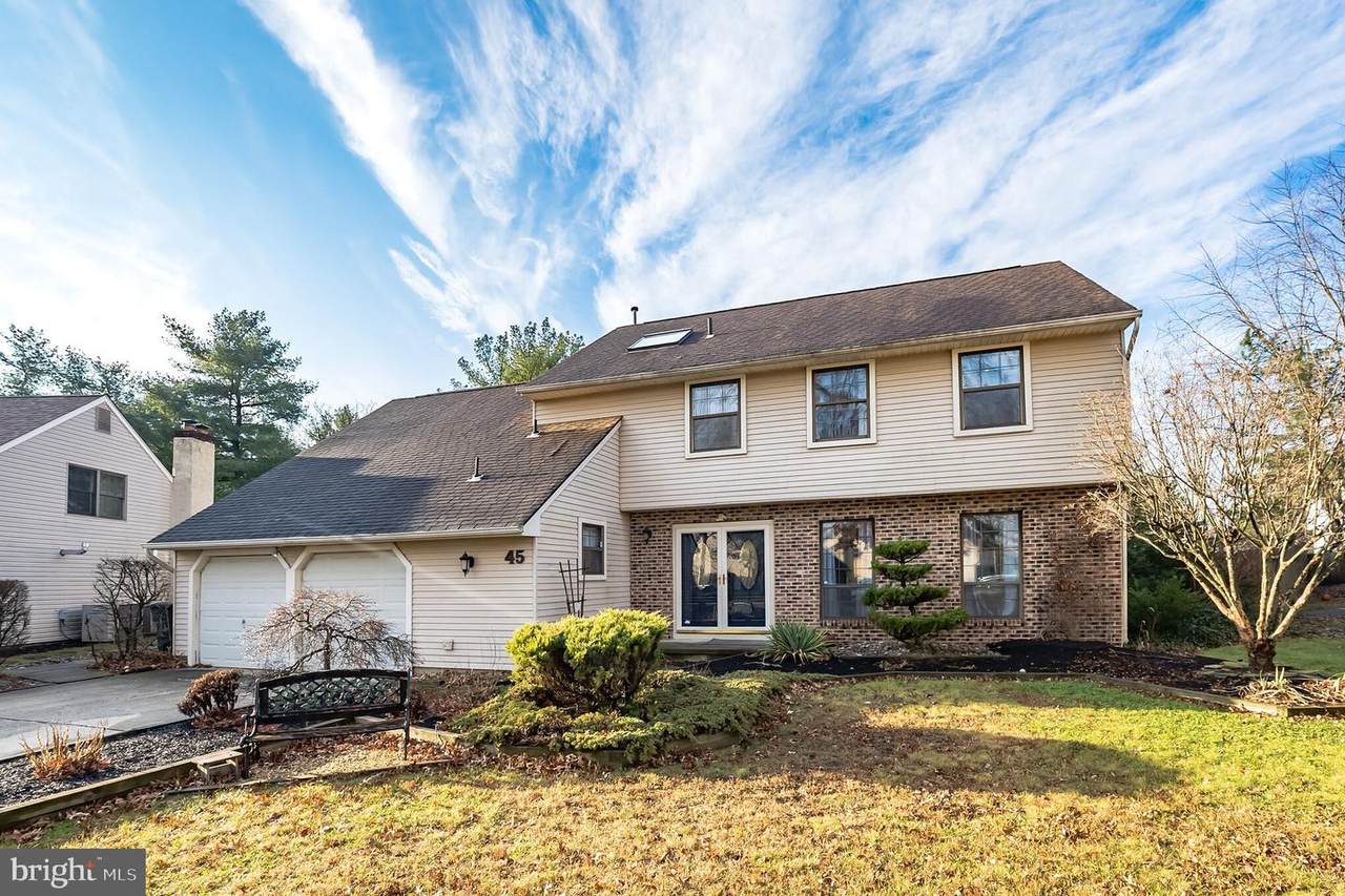 45 Meadowrue Court - Photo 1