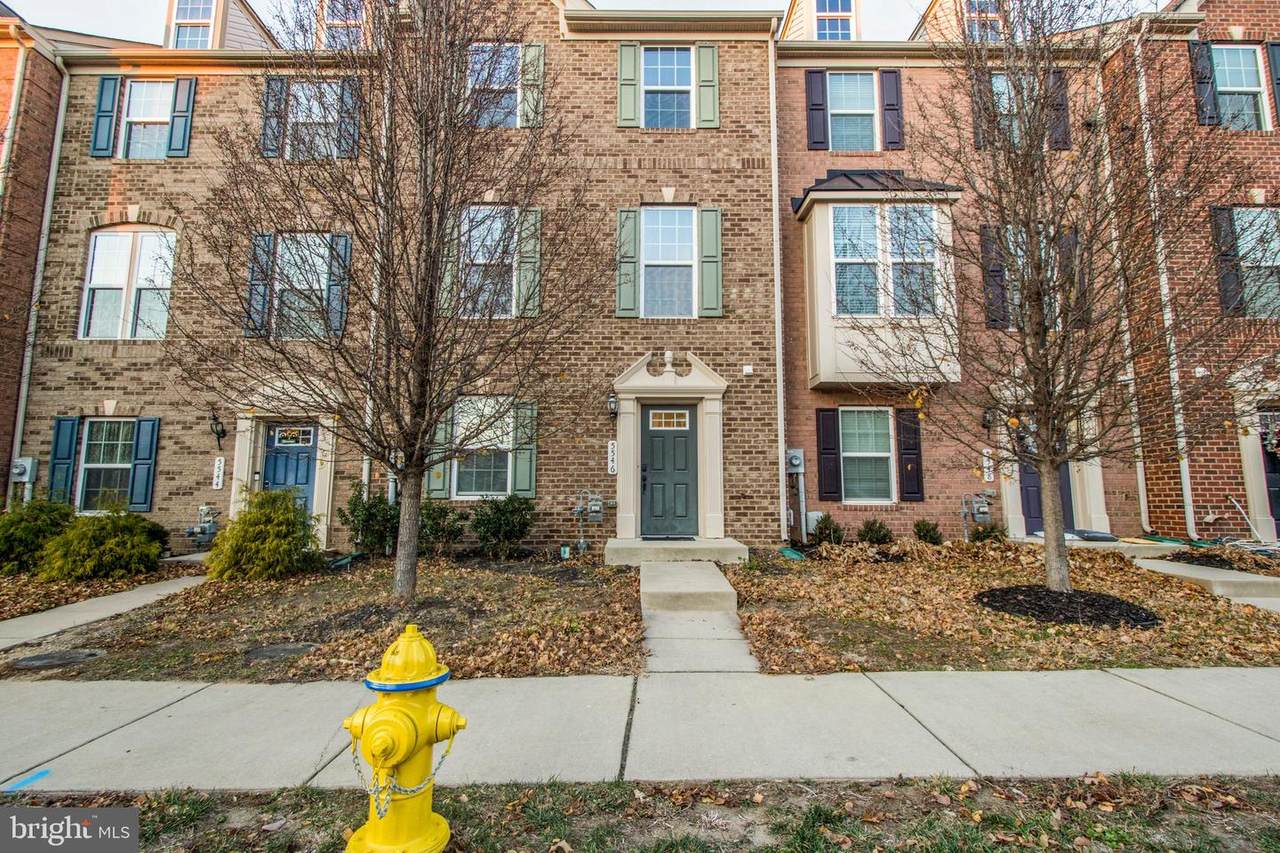 5546 Peanuts Lane - Photo 1