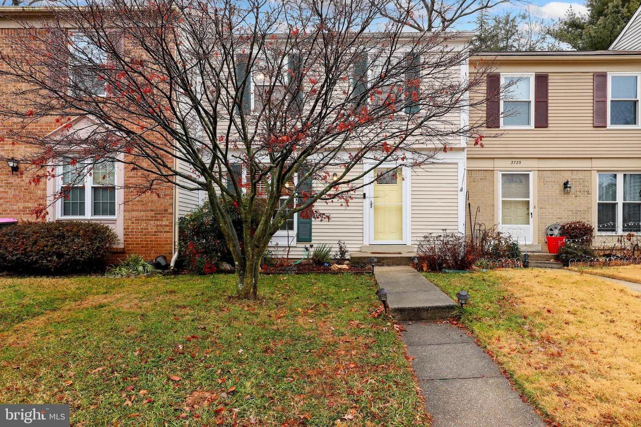 3727 Carrisa Lane - Photo 1