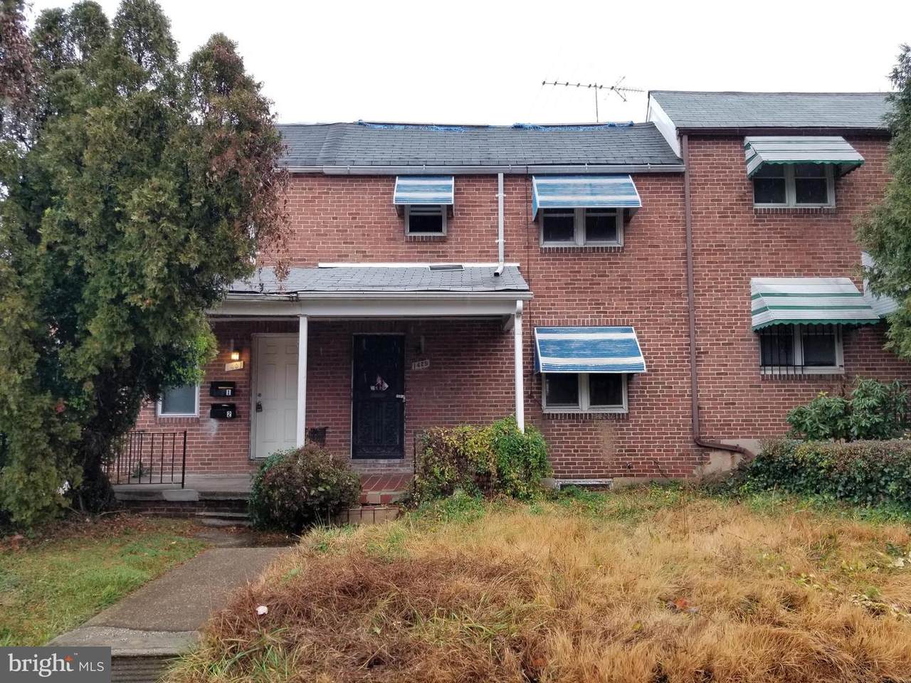 1429 Decker Avenue - Photo 1
