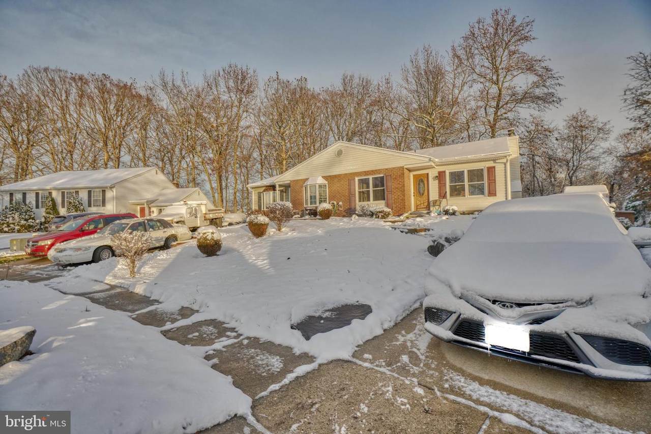 113 Redbud Road - Photo 1