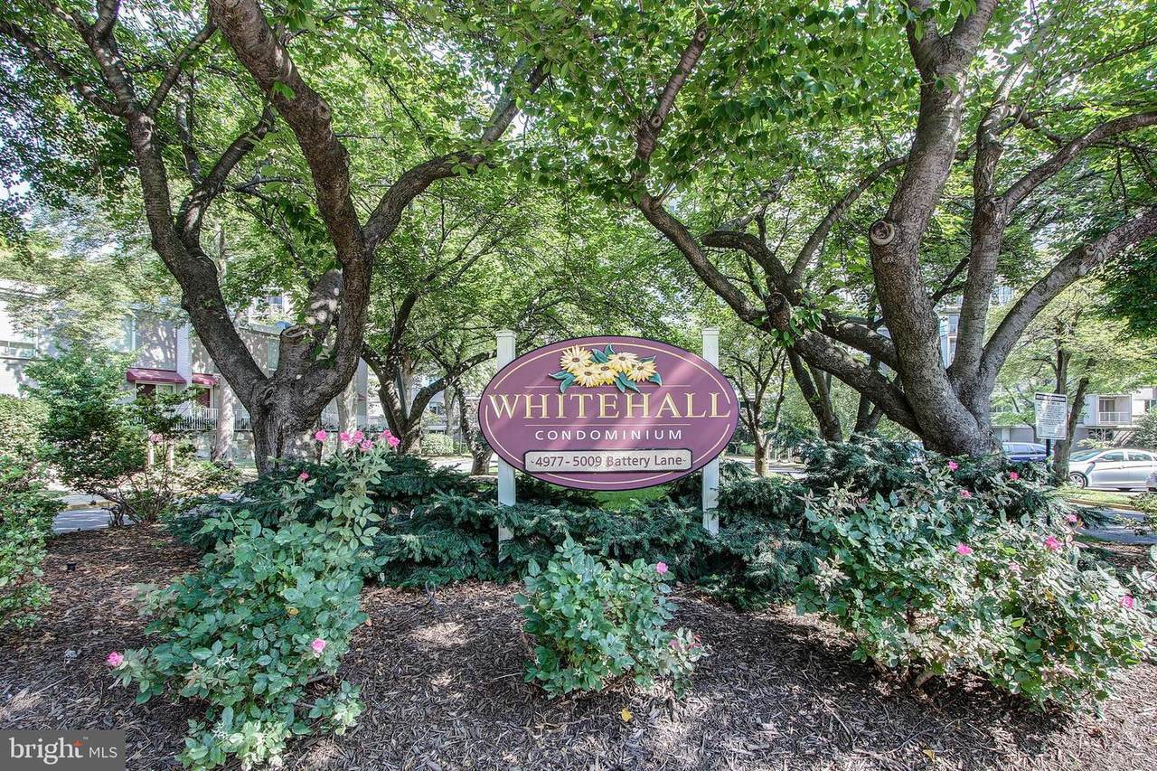 4977 Battery Lane - Photo 1