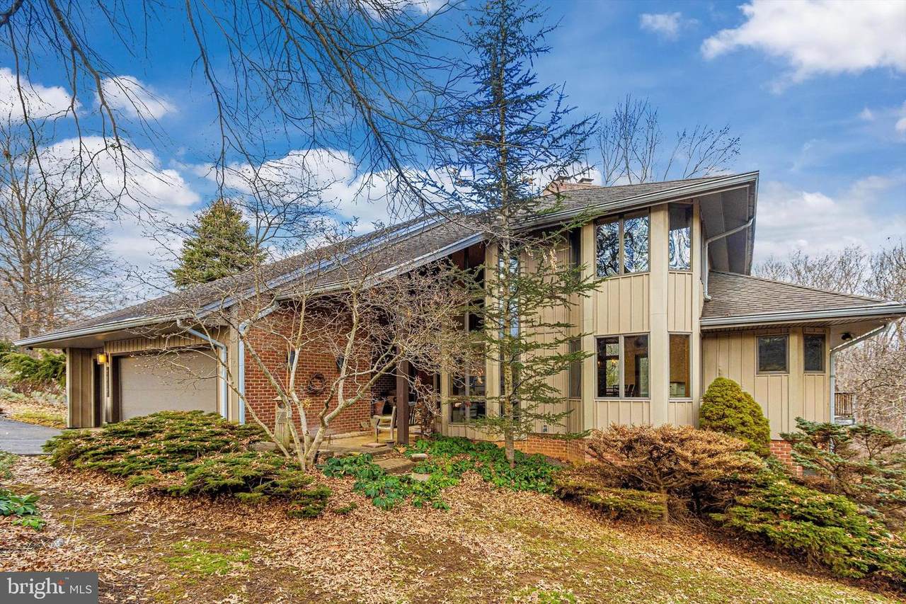 7810 Lois Court - Photo 1