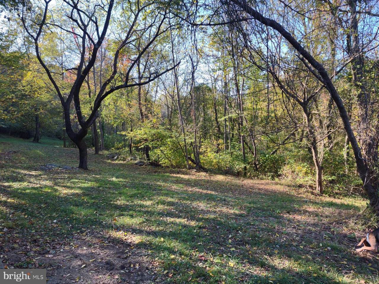 Cherry Hill Road - Photo 1