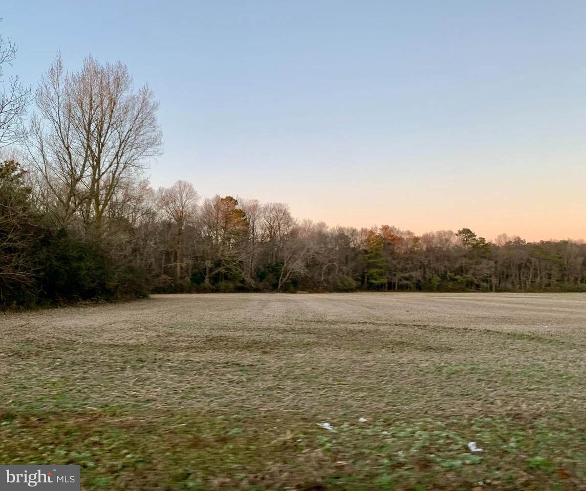 2637 Sheephouse Road - Photo 1