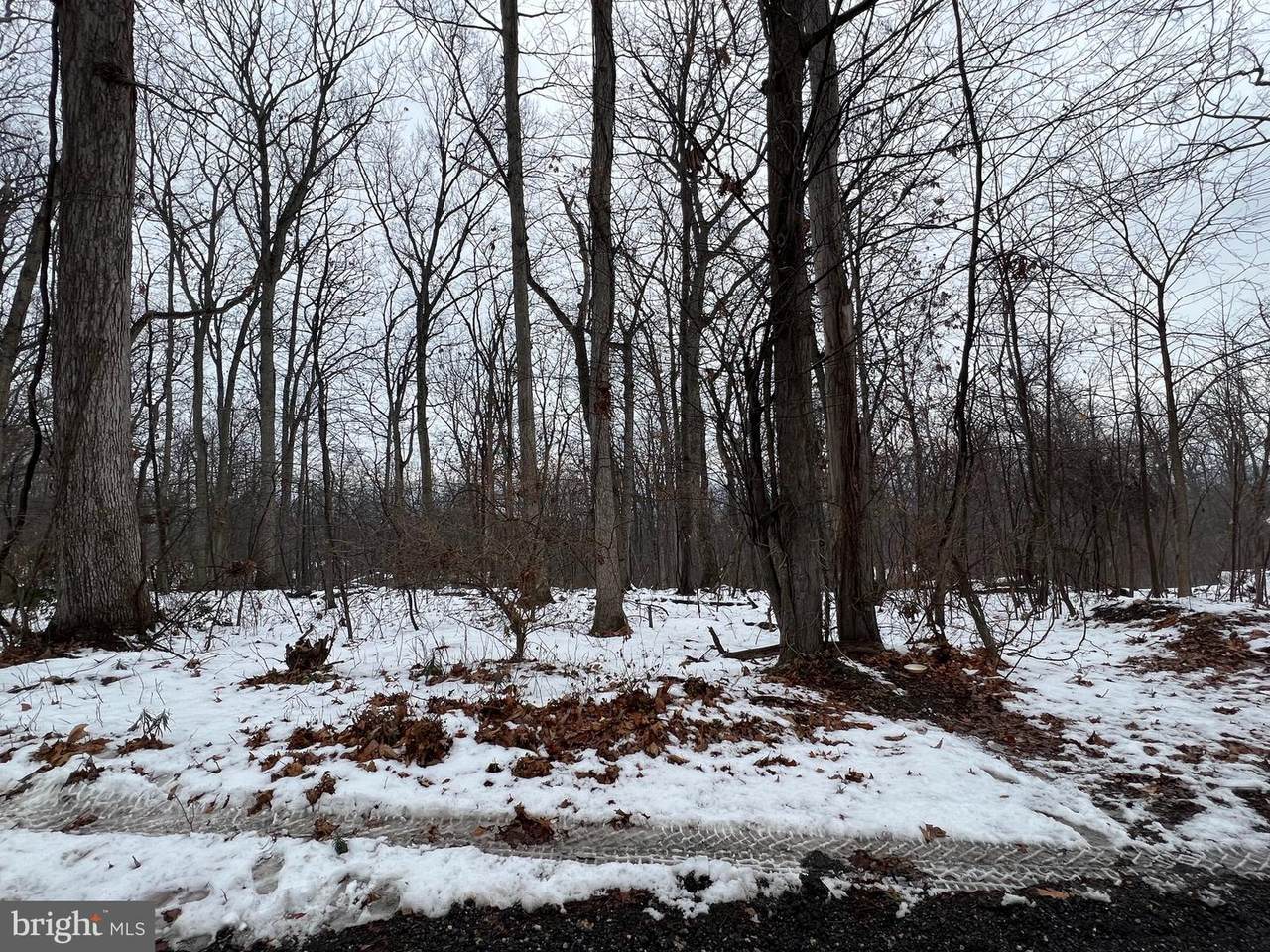 Farm Ridge Road - Photo 1