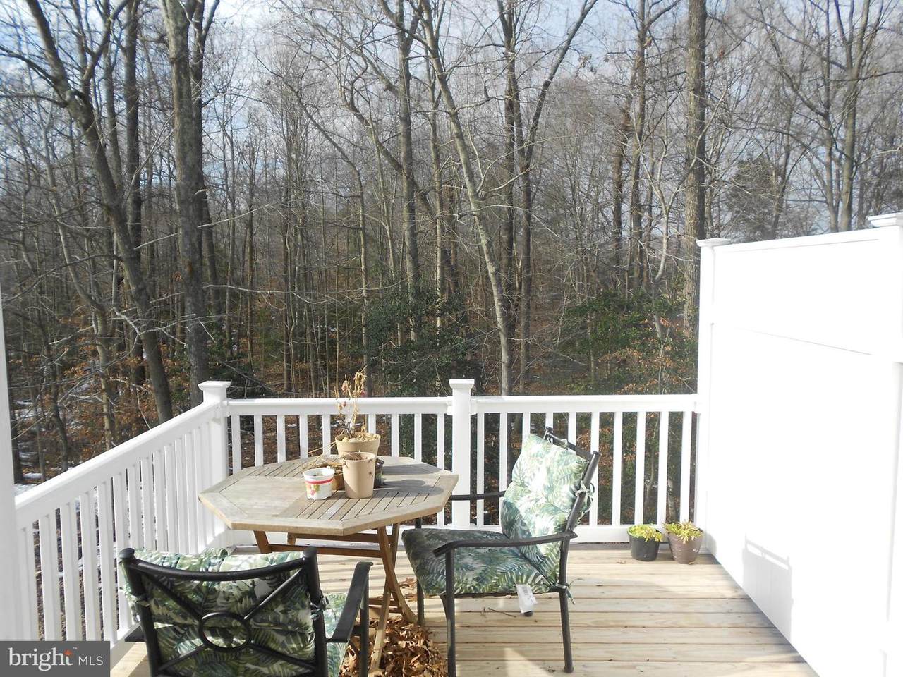 14905 Siloway Farm Place - Photo 1