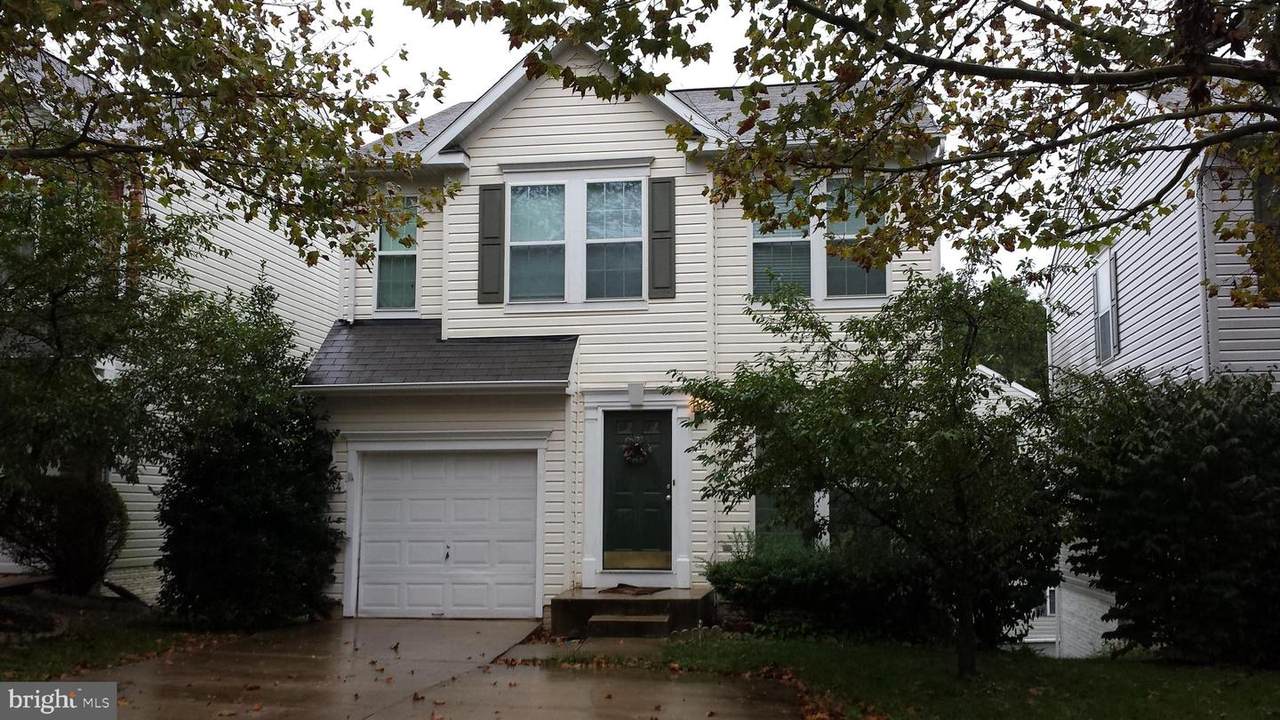8234 Lyndhurst Street - Photo 1