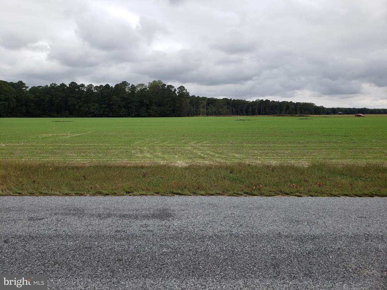 ooo Brittingham Road - Photo 1