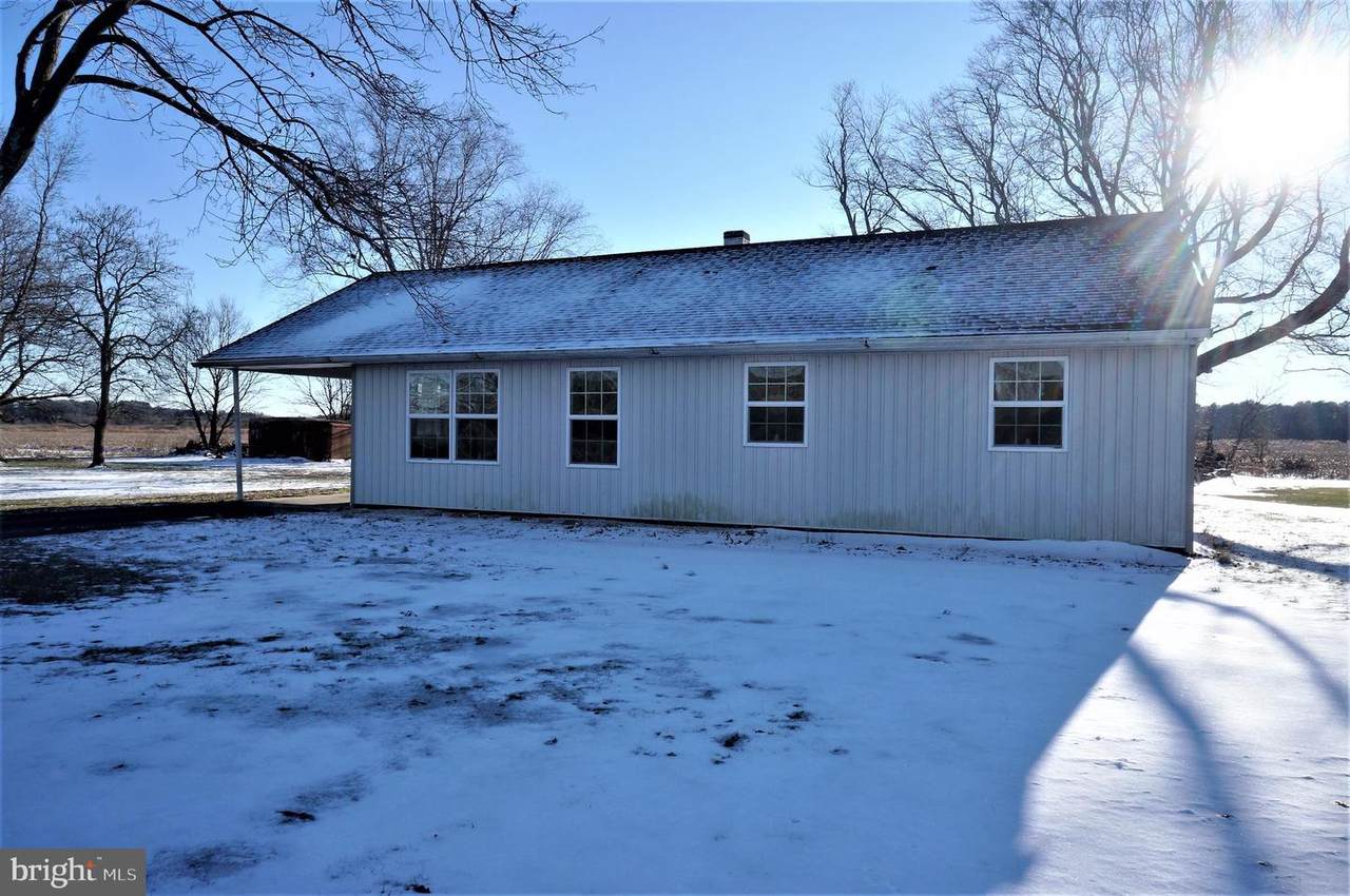 28272 Dagsboro Road - Photo 1