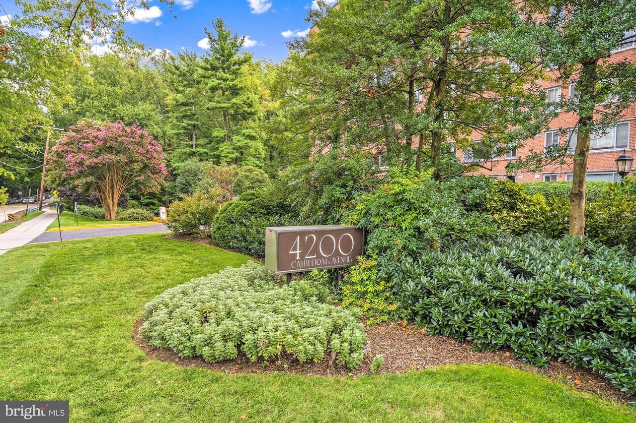 4200 Cathedral Avenue - Photo 1
