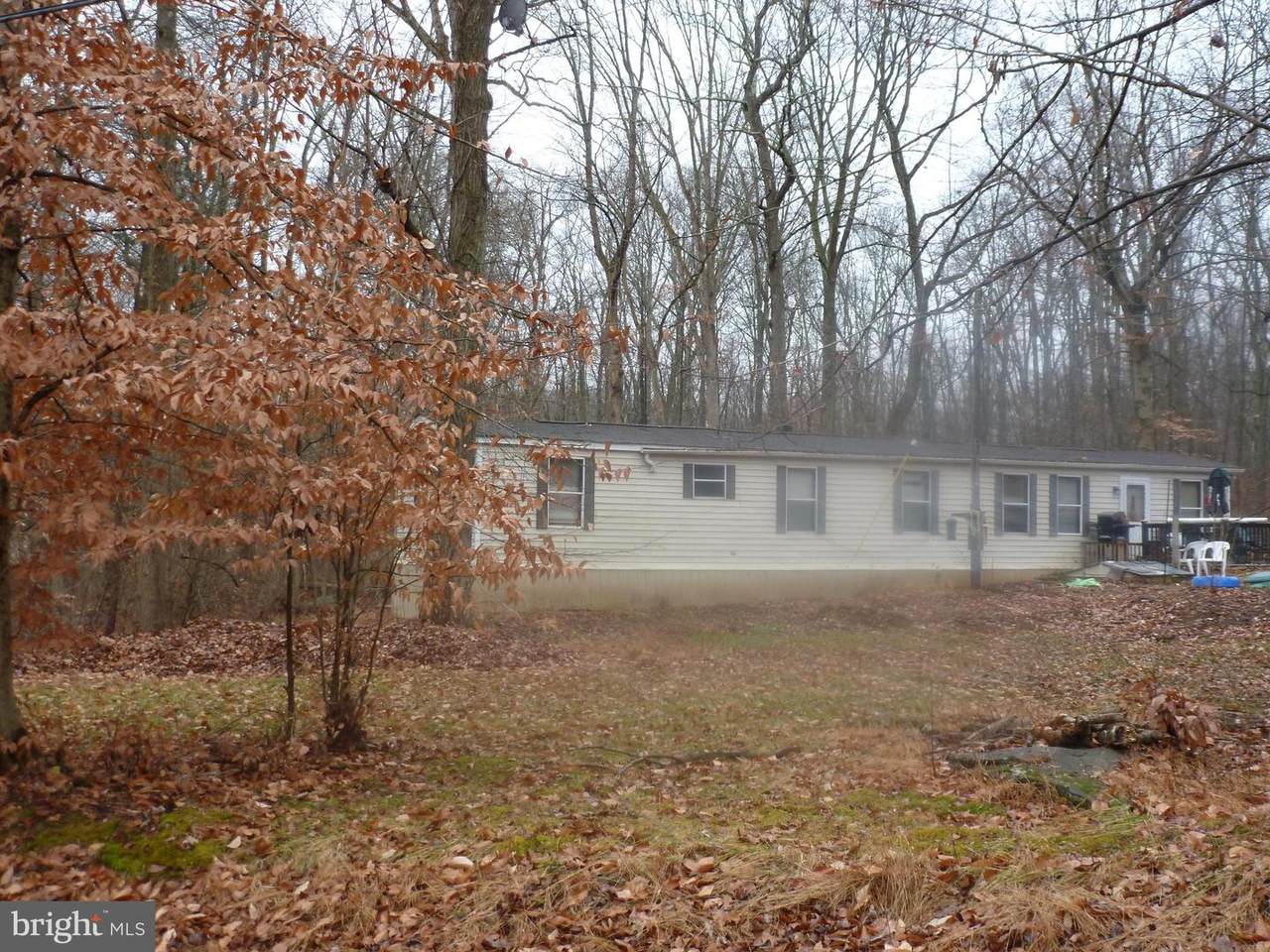4503 Axe Handle Road - Photo 1