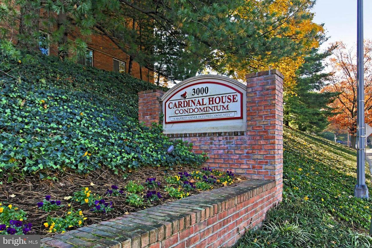 3000 Spout Run Parkway - Photo 1