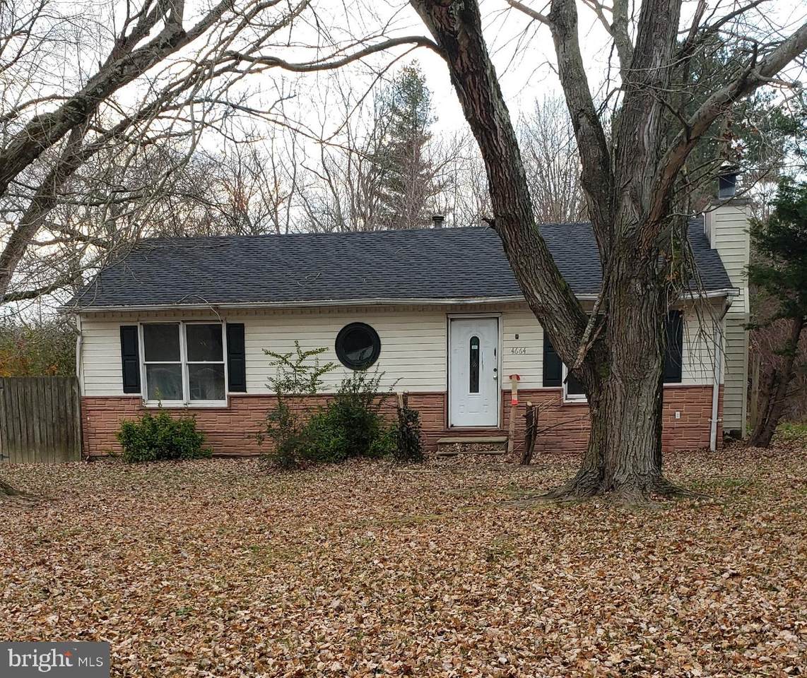 4664 Cedar Place - Photo 1