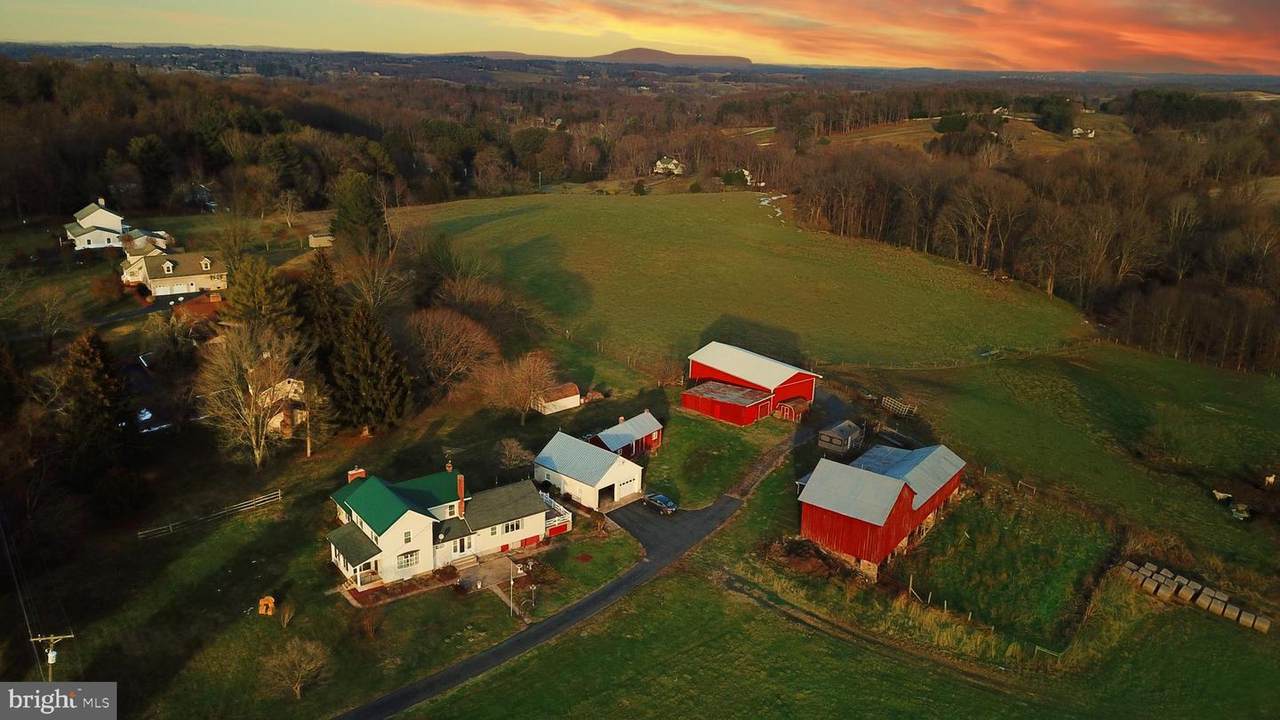 1605 Glenville Road - Photo 1