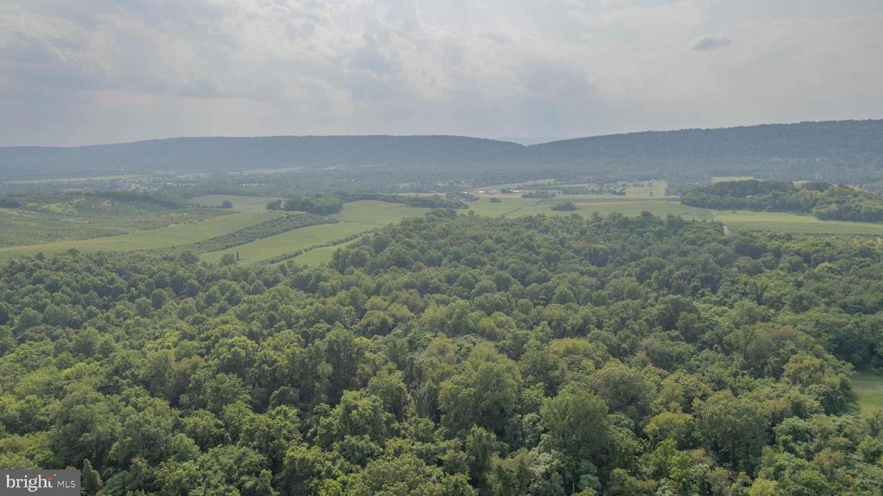 157 Acres Hollis Drive Road - Photo 1
