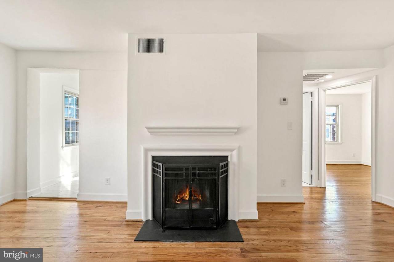 1119 Pitt Street - Photo 1