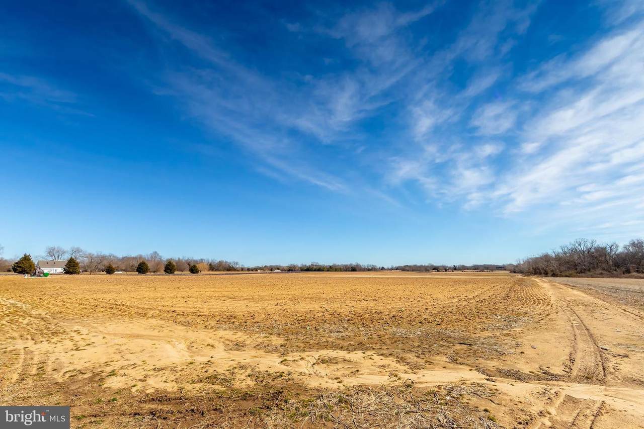 0 Crow Pond Road - Photo 1