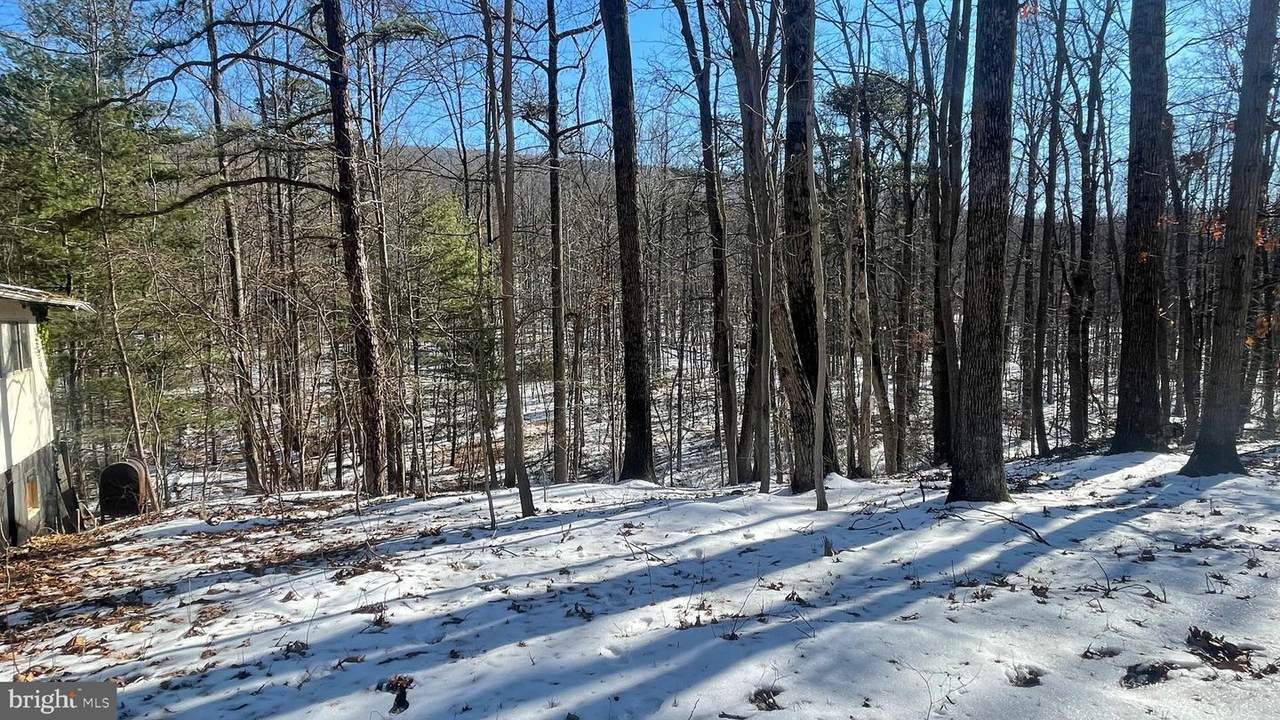 90 Blueberry Lane - Photo 1