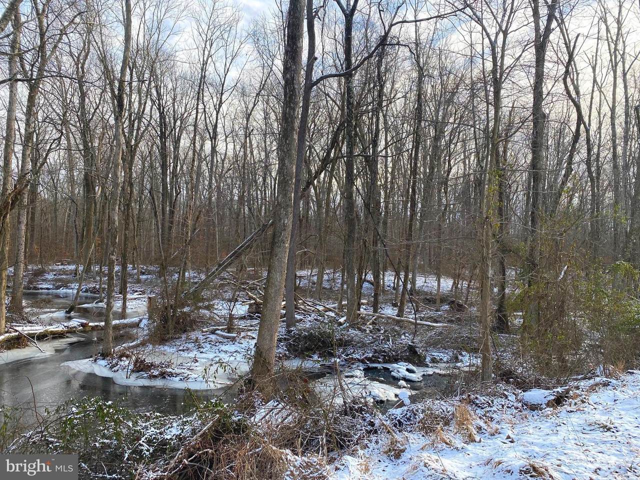 Block 5 Lot 11A Van Dyke Road - Photo 1