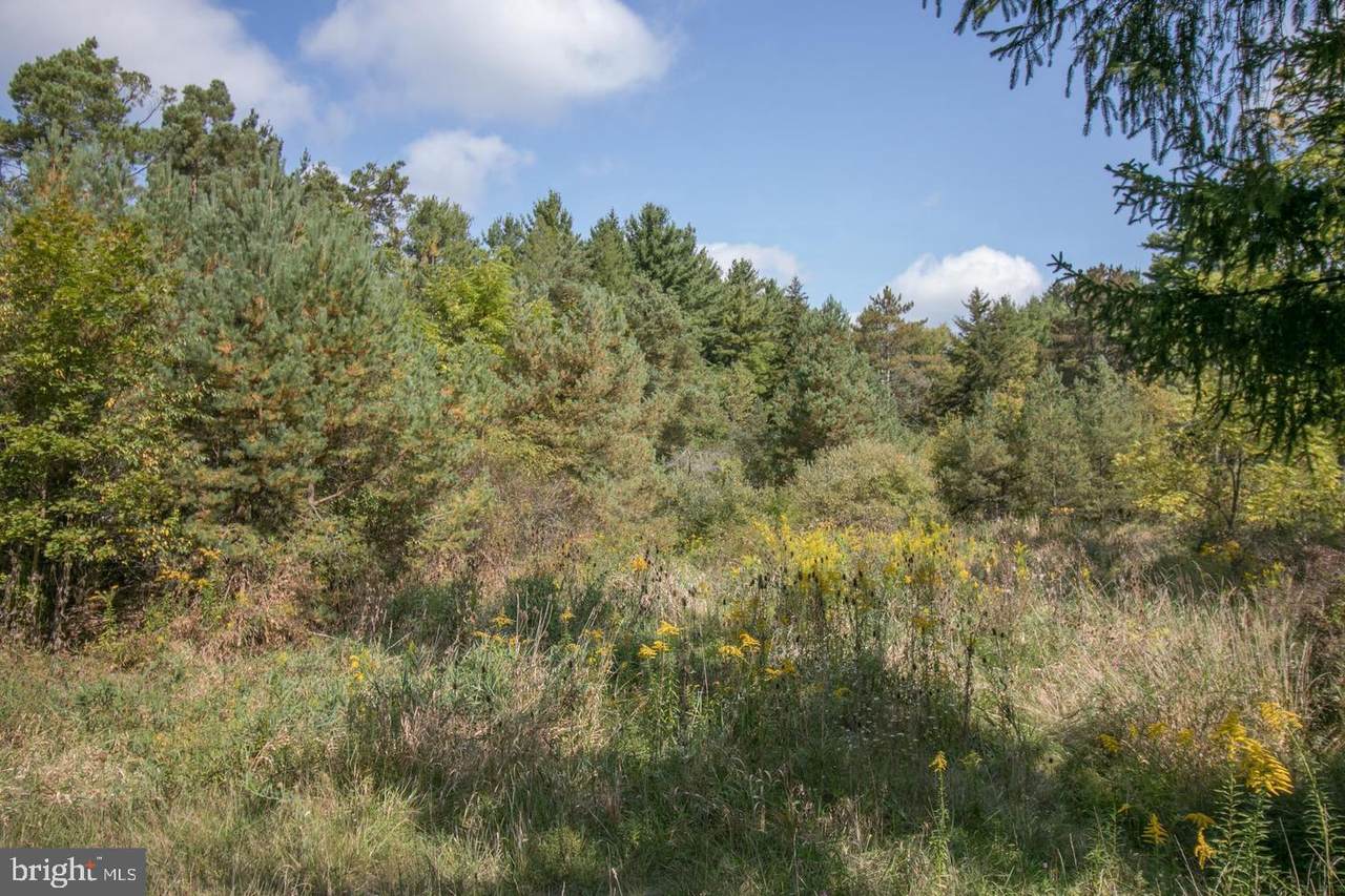 Oakland Dr, 5 Acres - Photo 1