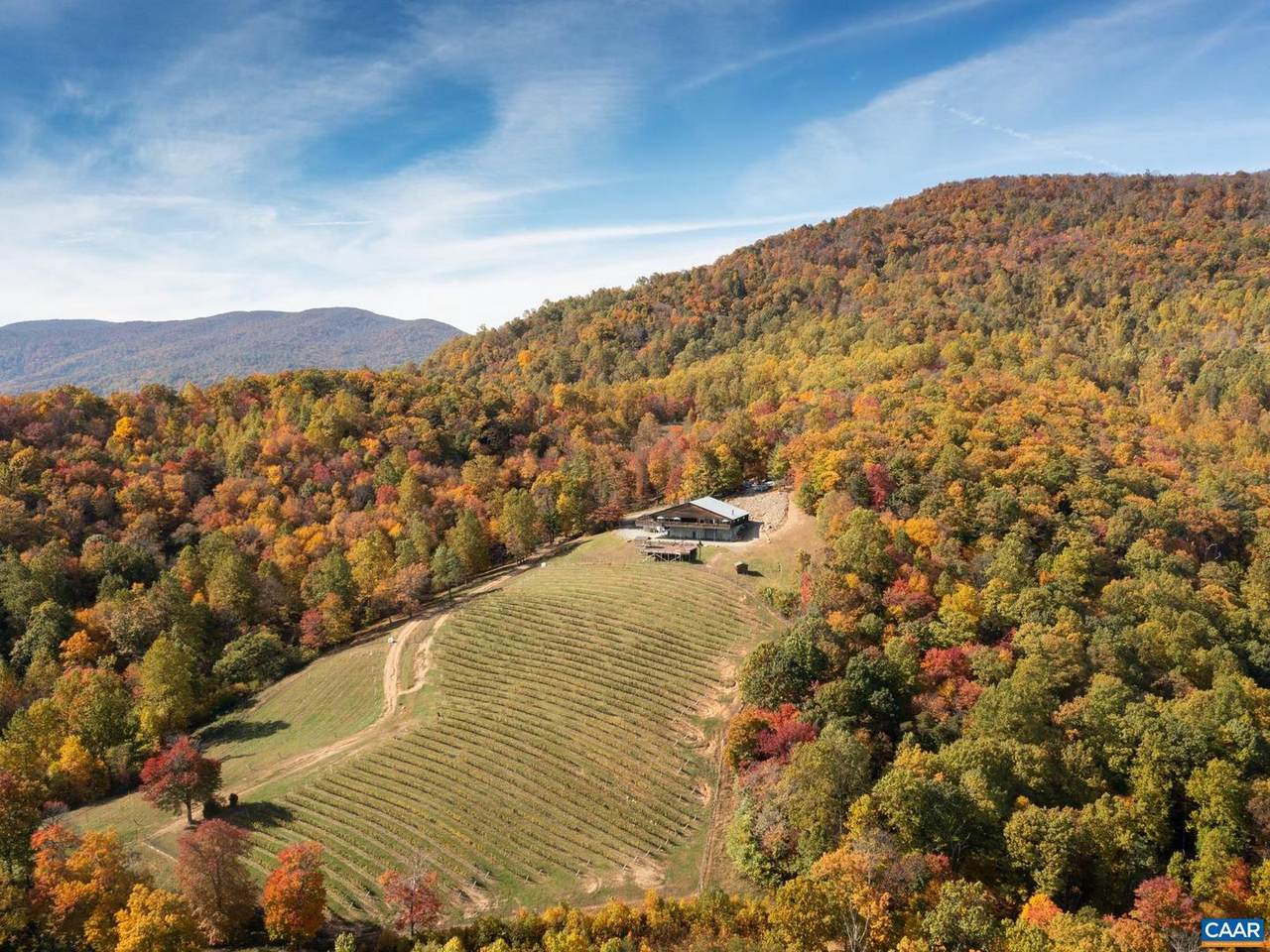 1376 Wyatt Mountain Rd - Photo 1