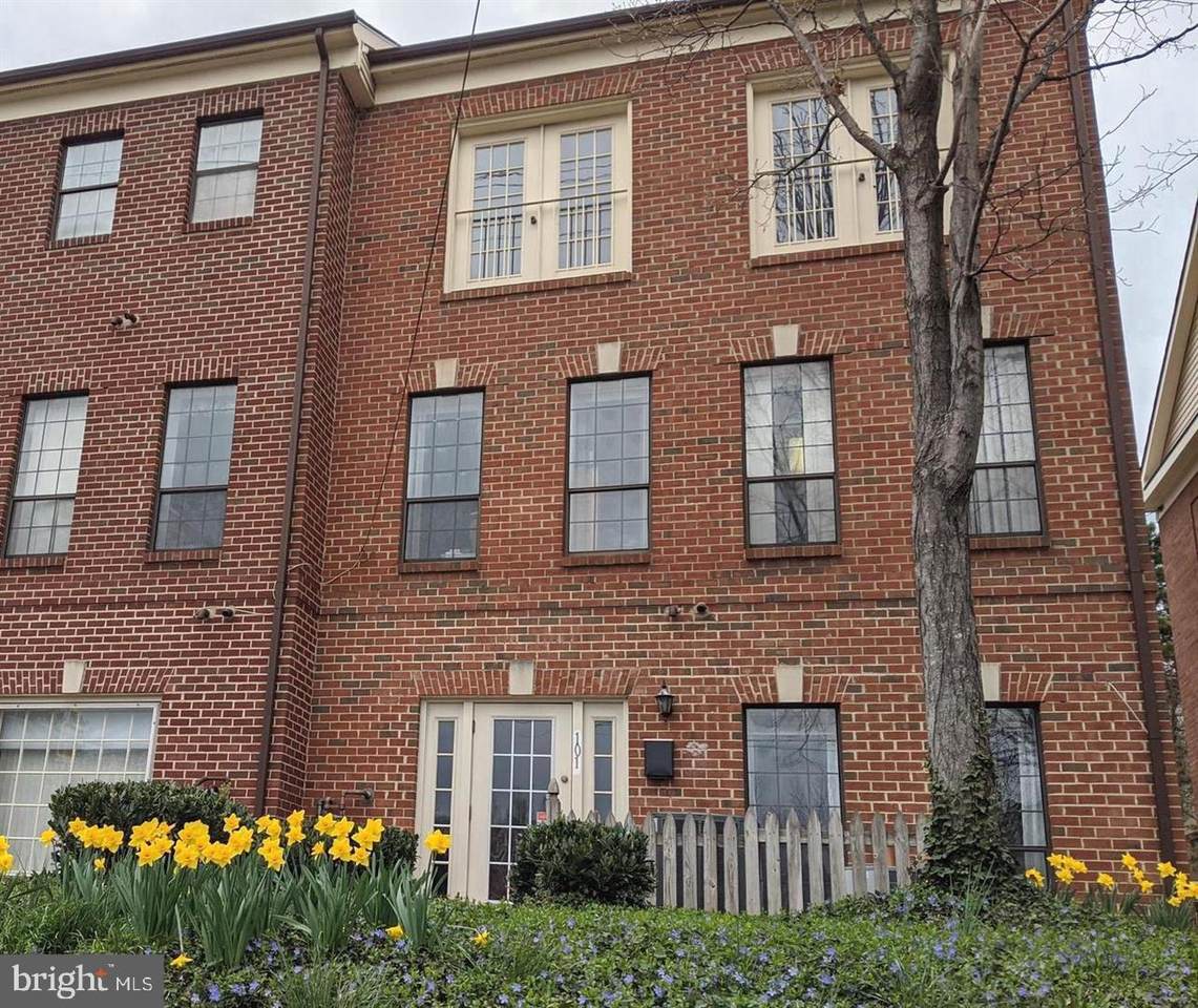 10650 Main Street - Photo 1