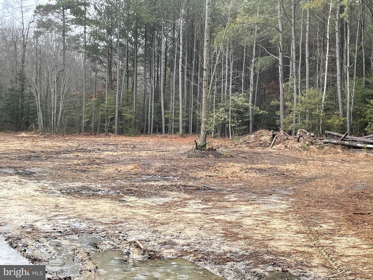 Lot 9B West Piney Gr Deer Pines - Photo 1
