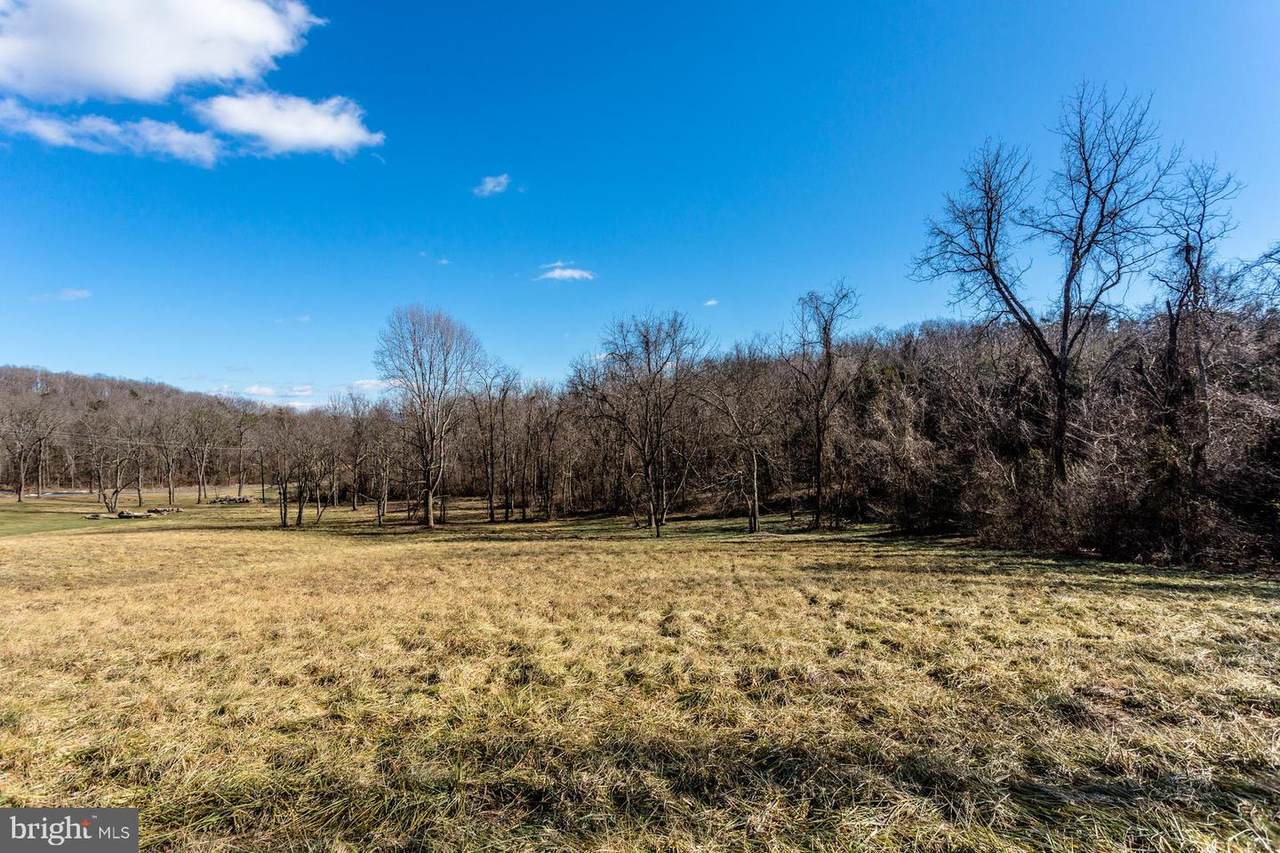 TBD Dodson Road - Photo 1