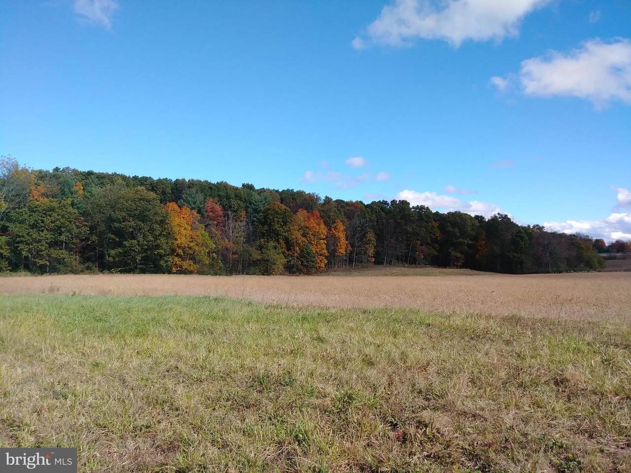 Open Plains Road - Photo 1