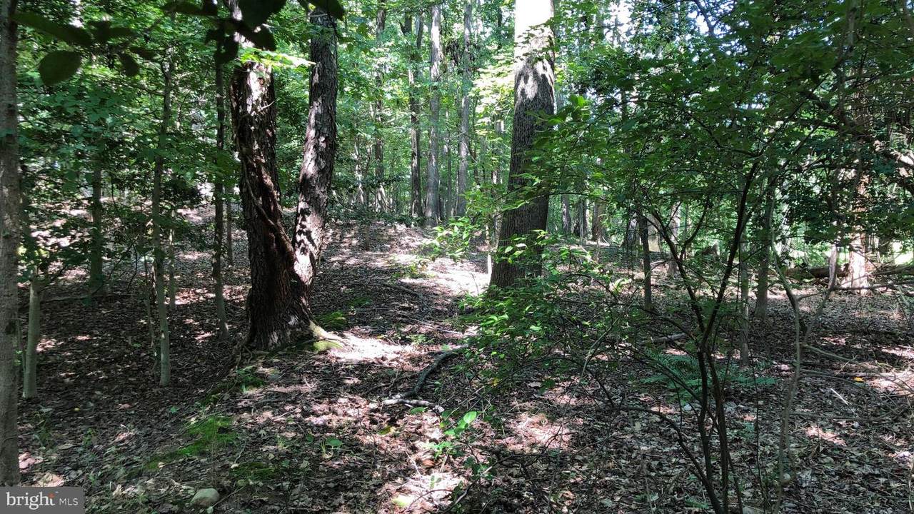 7638 Belmont Landing Road - Photo 1