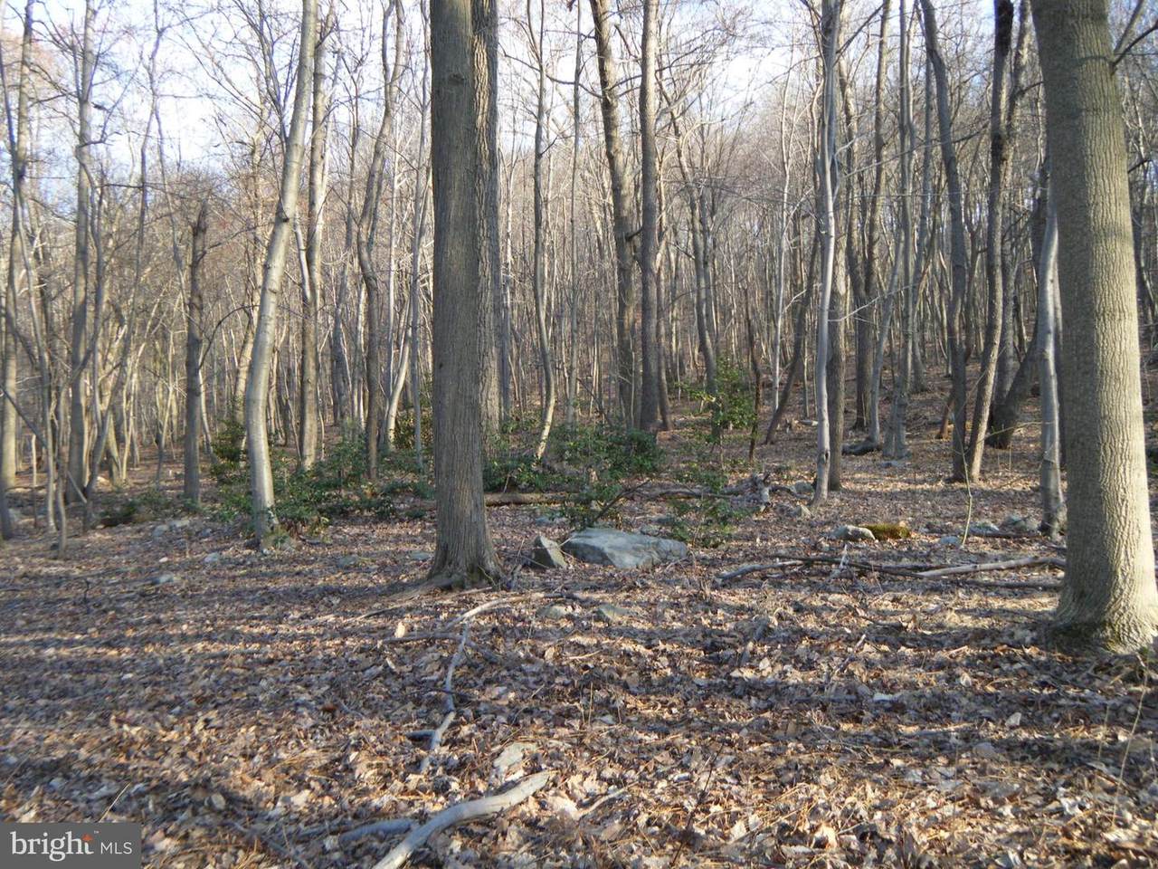 195 West Stewart Court - Photo 1