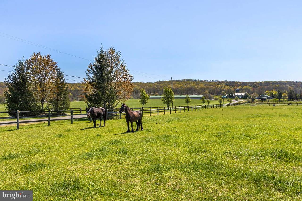 46 Wertsville Road - Photo 1