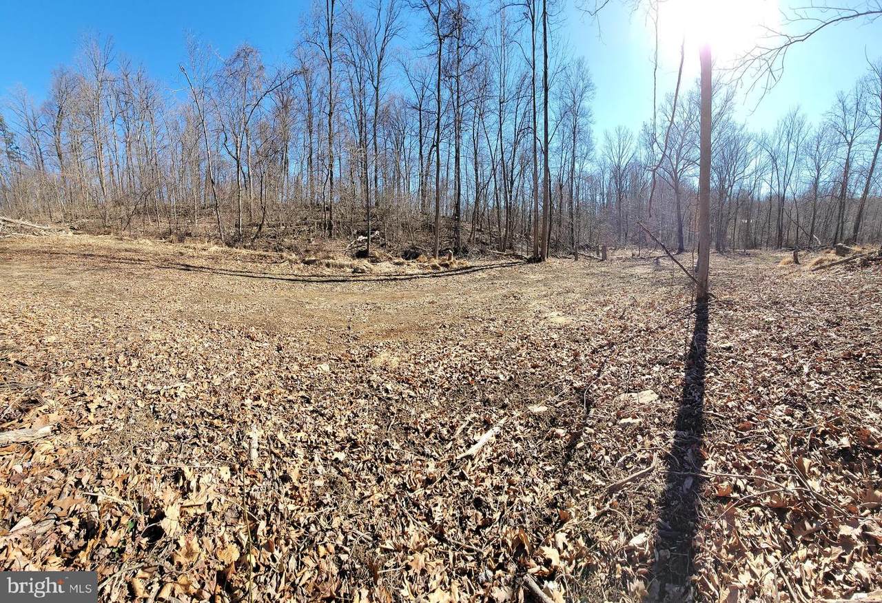Back Creek Road - Photo 1
