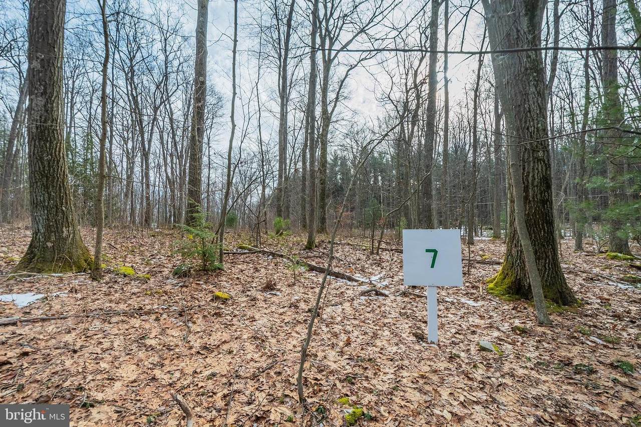 Lot 7 Stanton Lane - Photo 1