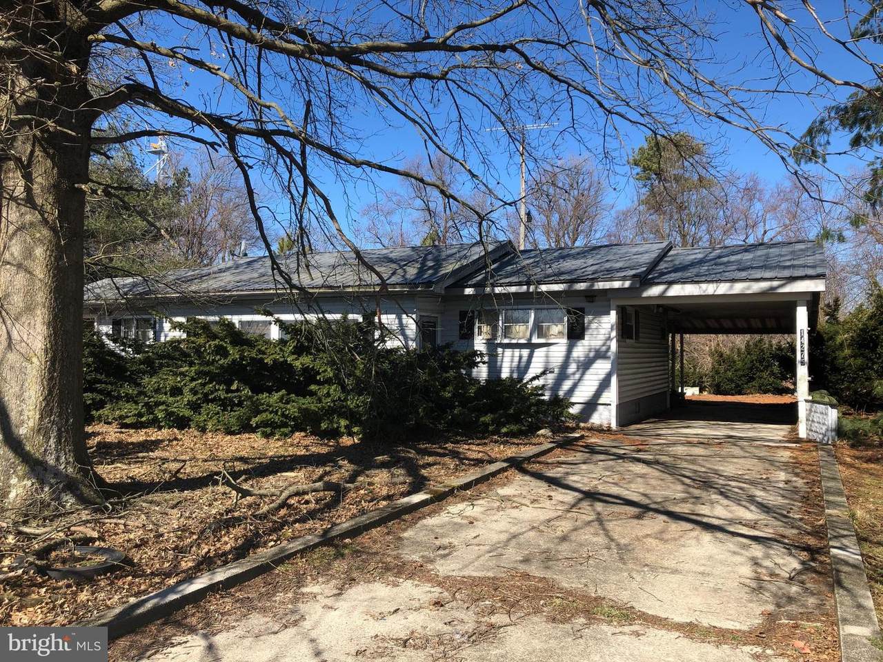 14275 Laurel Road - Photo 1
