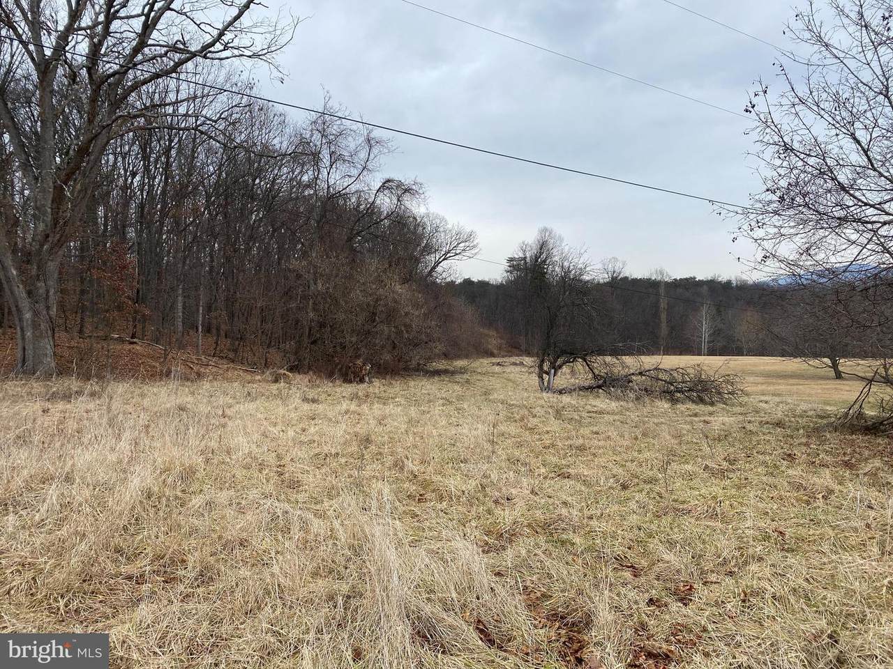 Mckenzie Lane - Photo 1