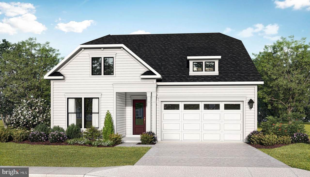 31013 Silver Maple Drive - Photo 1