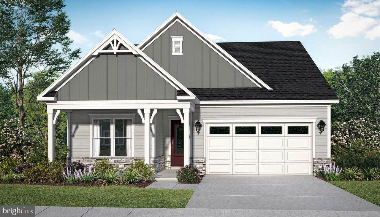 31017 Silver Maple Lane - Photo 1