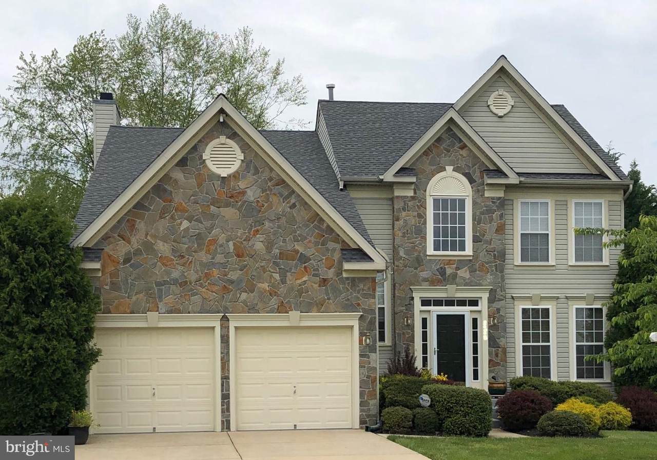 1103 Andean Goose Way - Photo 1