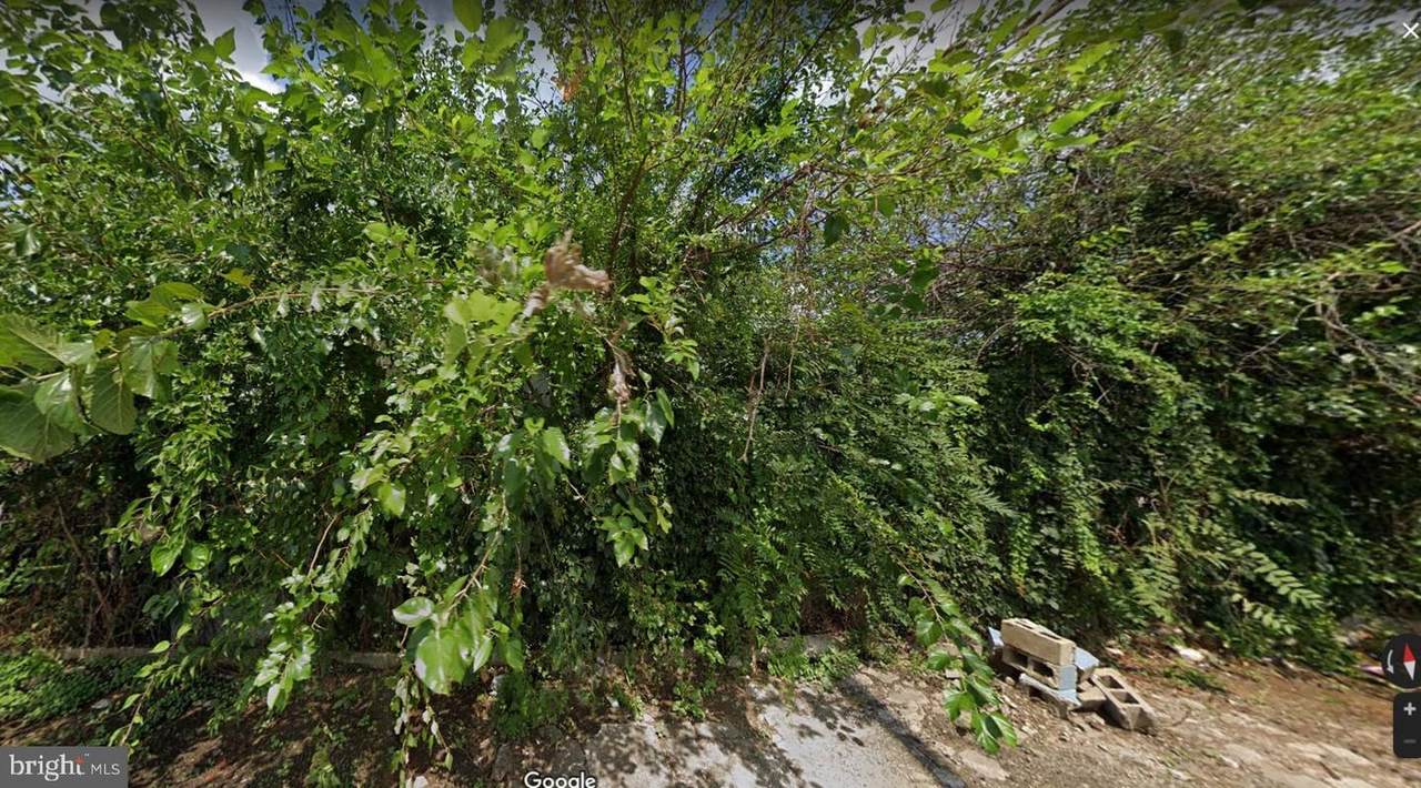 525 Edgley Street - Photo 1