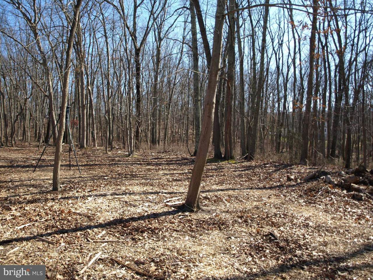 103 Stagecoach Rd - Photo 1