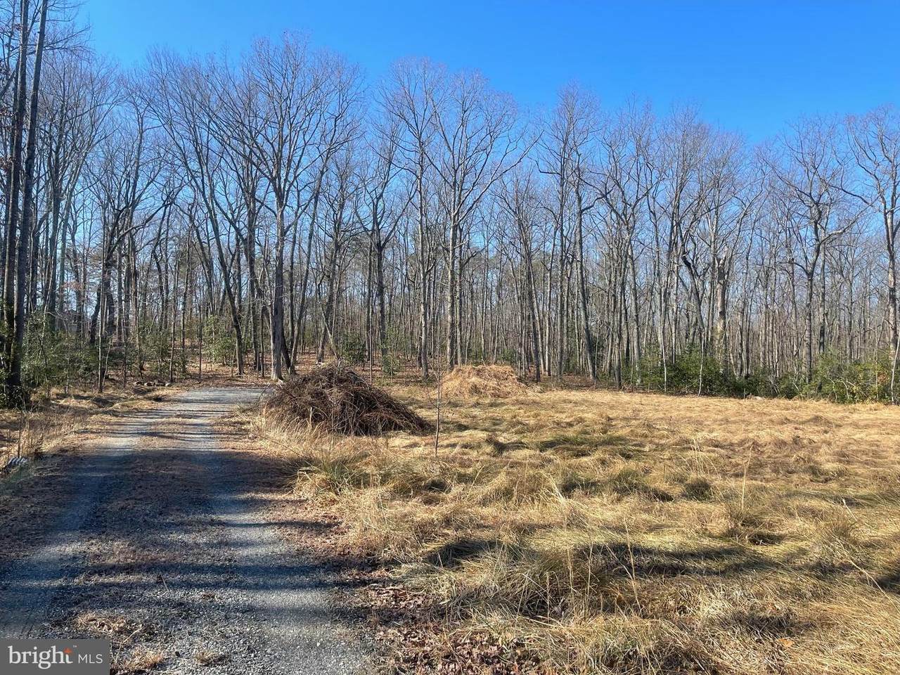 Lot 53B Chopping Rd - Photo 1