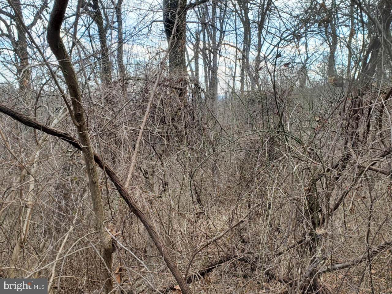 Lot 7 Blue Ridge Road - Photo 1